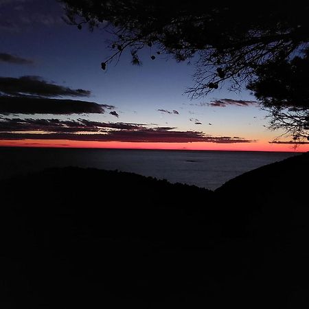 Apartmani Marija Mljet Sobra Екстериор снимка